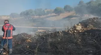 Siirt'te çıkan örtü yangını kontrol altına alındı