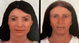 Terör örgütü PKK'nın sözde finans ağına ağır darbe! 2 kişi yakalandı, biri resmen büyük balık