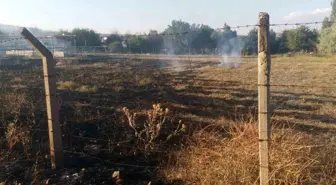 Çankırı'da çıkan ot yangını itfaiye ekipleri tarafından söndürüldü