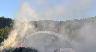 Fethiye'de çıkan yangın ormana sıçramadan söndürüldü