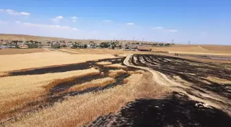 Konya'nın Kulu ilçesinde çıkan yangında 1500 dekar alan yandı