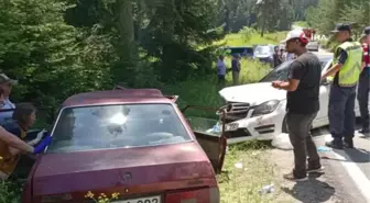 Ormanda çilek toplamak için park edilen araç kazaya sebep oldu: 2 yaralı