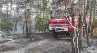 Tekirdağ Saray'da Orman Yangını: 1 Hektar Alan ve 20 Arı Kovanı Zarar Gördü