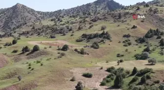 Erzurum'da Traktör Yan Devrildi: 1 ölü