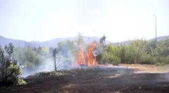 Fethiye'de çıkan yangın itfaiye ekipleri tarafından söndürüldü