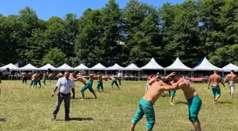 Niksar'da Geleneksel Ahi Pehlivan Büyük Karakucak Güreşleri Düzenlendi