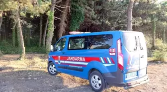 Samsun'da Jandarma Ormanlık Alanlarda Nöbet Tutuyor