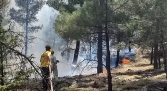 Hasanbeyli'deki Orman Yangını Kontrol Altına Alındı