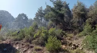 Sakarya'nın Taraklı ilçesinde orman yangını çıktı