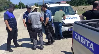 Altınova'da Deniz Börülcesi Kaçakçılığı Operasyonu