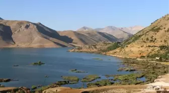 Çat Baraj Gölü'ndeki Yüzen Adalar Sabit Hale Getirildi