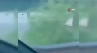 Kanada'da şiddetli yağışlar sonucu sel: 4 kişi kayıp