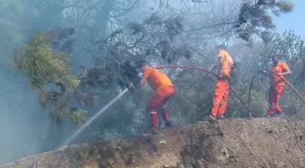 Sakarya'nın Taraklı ilçesinde orman yangını