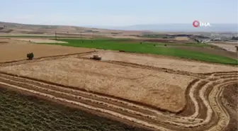 Üretime kazandırılan atıl araziler yatırıma dönüştü