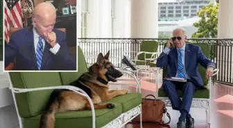 ABD Başkanı Biden'ın köpeği Commander, bir gizli servis elemanın hastanelik etti, altı kişiyi daha ısırdı