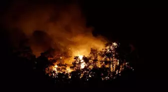 Antalya Kemer'de Orman Yangınına Müdahale Ediliyor
