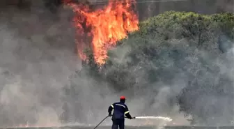 Avrupa'da Orman Yangınları ve Rekor Sıcaklıklar Devam Ediyor