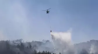 Antakya'da çıkan orman yangını kontrol altına alındı