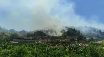 Hatay'da Ormanda Çıkan Yangın Kontrol Altına Alındı