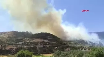 HATAY'DA ORMAN YANGINI KONTROL ALTINA ALINDI