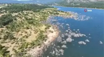 Jandarmadan boğulma olaylarına karşılık dronlu denetim