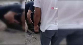 Kafası tenekeye sıkışan yavru ayı kurtarıldı
