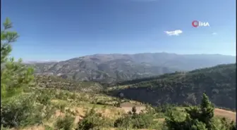 Kahramanmaraş'taki orman yangını söndürüldü