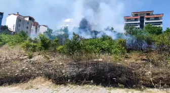 Bilecik'te Boş Arazide Çıkan Yangın Anında Söndürüldü