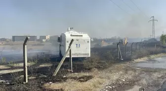 Çorlu'da çıkan yangında 10 dönüm tarla zarar gördü