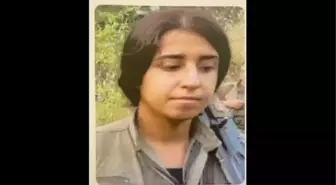 İstanbul'da Sansasyonel Eylem Arayışında Olan PKK/KCK Terör Örgütü Mensupları Yakalandı