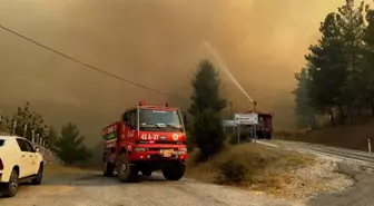 Kütahya'da Orman Yangınına Müdahale Ediliyor