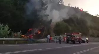 Sakarya'da orman yangını Vatandaş ve ekiplerin erken müdahalesi alevlerin büyümesini önledi