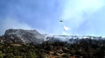 Aydın'ın Söke ilçesinde çıkan orman yangını kontrol altına alındı