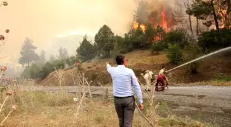 Kütahya Valisi Ali Çelik, orman yangını kontrol altına alma çalışmalarını takip ediyor