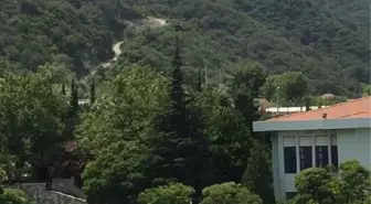 Yalova Çınarcık'ta Orman Yangını Kontrol Altına Alındı