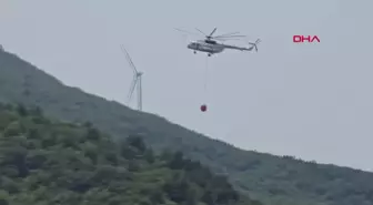 Yalova'da çıkan orman yangını kontrol altına alındı