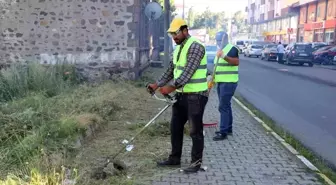 Ardahan Belediyesi Temizlik İşleri Müdürlüğü'nden ağaç budama ve yabani ot temizliği