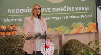 AK Parti İzmir Milletvekili Ceyda Bölünmez Çankırı Menderes'te Muhtarlarla Buluştu