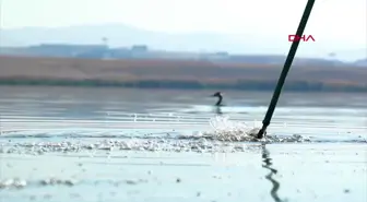 Türkiye'nin deniz ve kıyı suları kirliliği izlenecek