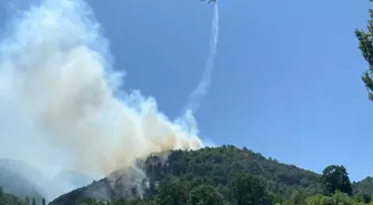 Balıkesir İvrindi'de çıkan orman yangını kontrol altına alındı