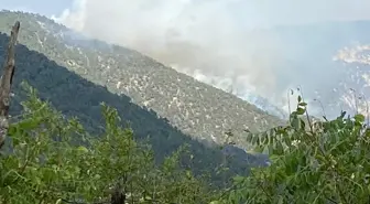 Bolu Göynük'te Yıldırım Düşmesiyle Çıkan Yangına Karadan ve Havadan Müdahale Ediliyor