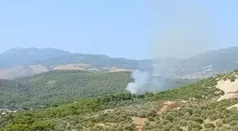 Kaş'ta Ormanlık Alanda Çıkan Yangına Müdahale Ediliyor