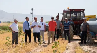 Selçuk Üniversitesi Ziraat Fakültesi'nde Buğday Hasadı Başladı