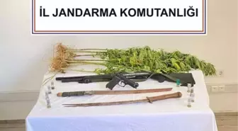 Muğla'da Uyuşturucu Operasyonunda 10 Kişi Gözaltına Alındı