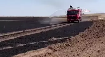 Yozgat'ta çıkan yangında 200 dönüm buğday ekili alan yandı