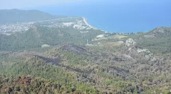 Antalya Kemer'deki Orman Yangını Kontrol Altına Alındı