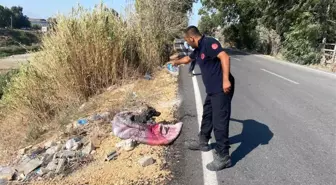 Antakya'da bataklığa saplanan köpek itfaiye tarafından kurtarıldı