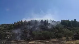 Bucak'ta Kızılçam Ormanında Yangın Çıktı