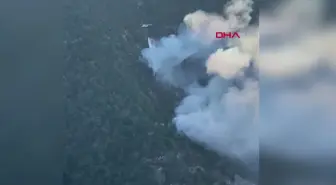 Bolu'daki orman yangınına havadan müdahale