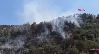 Bucak'ta Kızılçam Ormanında Çıkan Yangına Ekipler Müdahale Ediyor